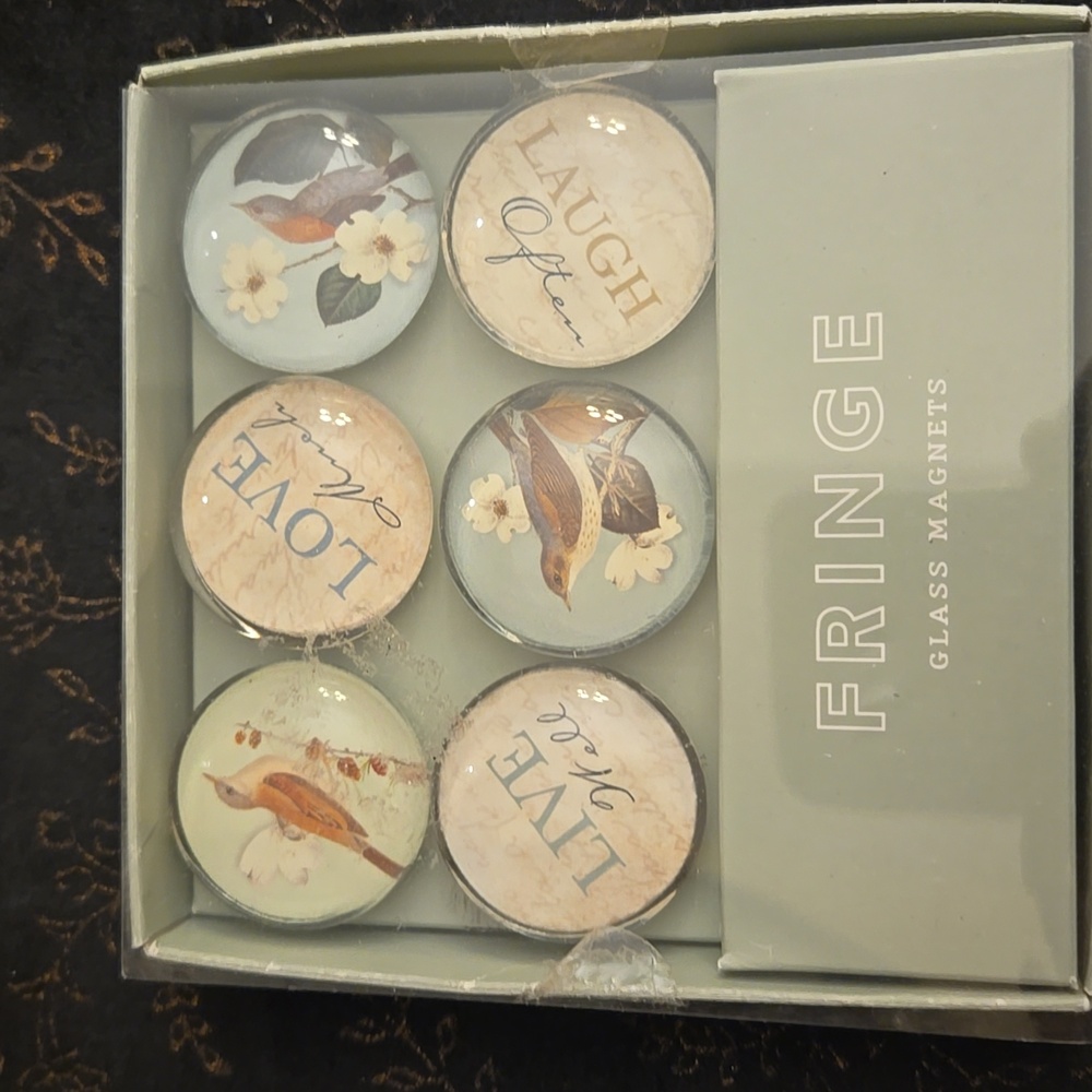 Fringe Glass Magnets Set